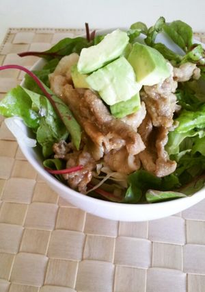 野菜たっぷり豚丼♪♪-レシピのメイン写真