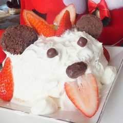 ワンちゃんのクリスマスケーキ-レシピのメイン写真