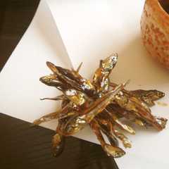 รูปของ 真面目に作る定番おせち☆田作り☆