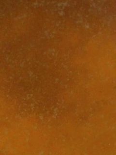 クリスマスチキンの骨で濃厚スープ-レシピのメイン写真