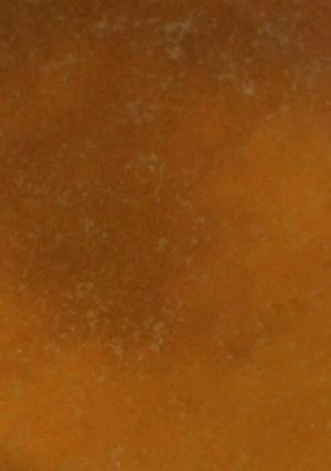 クリスマスチキンの骨で濃厚スープ-レシピのメイン写真