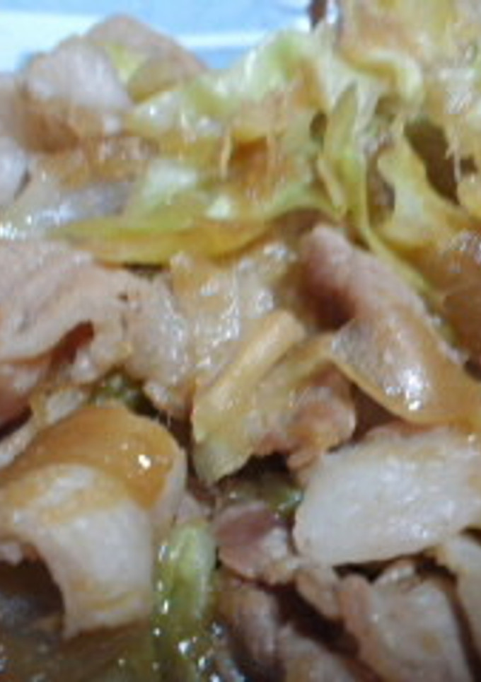 しっかり生姜の豚肉生姜焼き-レシピのメイン写真