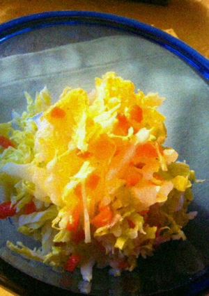 鍋だけじゃない!白菜のシャキシャキサラダ-レシピのメイン写真