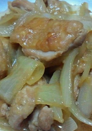 鶏と玉ねぎの醤油麹くたくた煮-レシピのメイン写真
