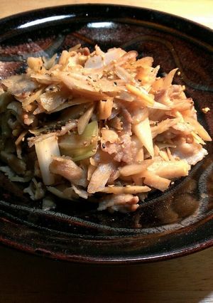 豚バラ肉とささがきゴボウのピリ辛炒め-レシピのメイン写真