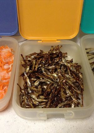 2012年のお節料理-レシピのメイン写真