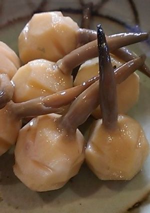 くわい煮-レシピのメイン写真