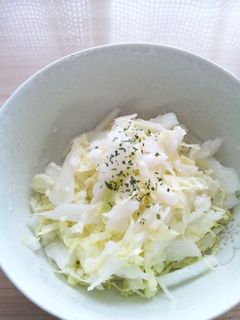 塩麹で白菜サラダ-レシピのメイン写真
