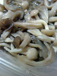 塩麹きのこ-レシピのメイン写真