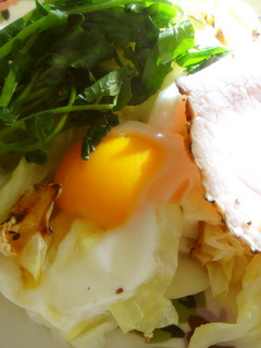 とろ~り卵の蒸しキャベツ朝食-レシピのメイン写真
