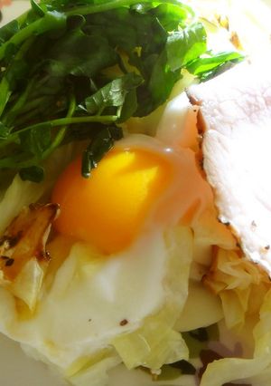とろ～り卵の蒸しキャベツ朝食-レシピのメイン写真