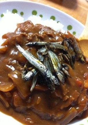田作り救済!カルシウムカレー★-レシピのメイン写真