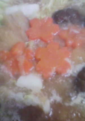 みぞれ鶏鍋☆(醤油ベース)-レシピのメイン写真