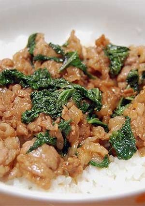 東海林さだおさんの牛肉シソ葉丼-レシピのメイン写真
