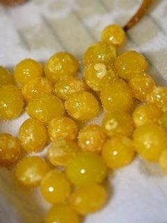 ぎんなんの素揚げ-レシピのメイン写真