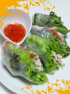 ささみの生春巻-レシピのメイン写真