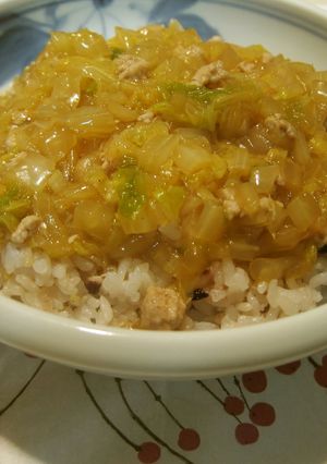 体に染み入る✿白菜と豚ひきのあんかけご飯-レシピのメイン写真
