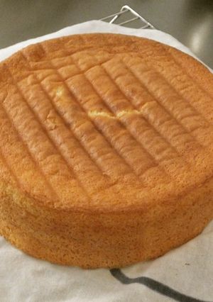 スポンジケーキ-レシピのメイン写真