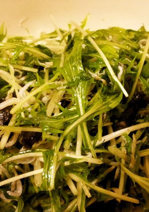 とっても簡単*水菜としらすのサラダ*-レシピのメイン写真