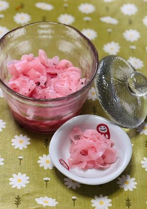 れんこんの梅酢漬け-レシピのメイン写真