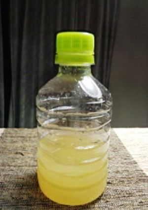 果汁たっぷり長持ちポン酢の素-レシピのメイン写真