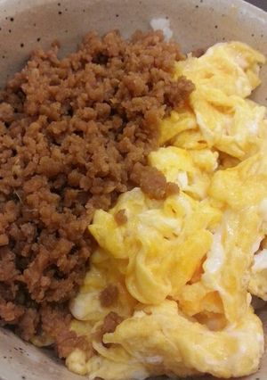 簡単我が家の二色丼-レシピのメイン写真