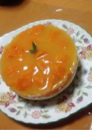 オレンジレアチーズケーキ-レシピのメイン写真