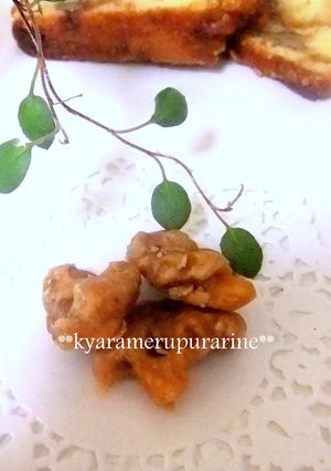 カリカリ＊くるみのキャラメルプラリネ-レシピのメイン写真