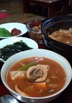 韓国のウマ辛料理 イカのチゲ-レシピのメイン写真