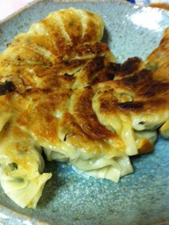ほぼキャベツ餃子-レシピのメイン写真