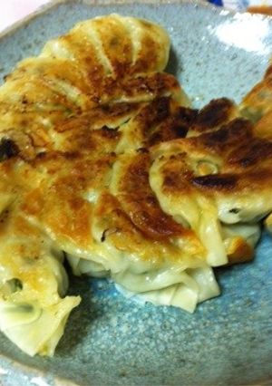 ほぼキャベツ餃子-レシピのメイン写真
