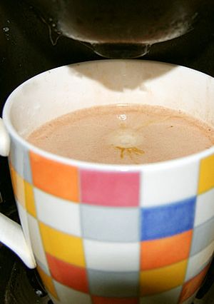 バリスタで作る大人のココアラテ-レシピのメイン写真