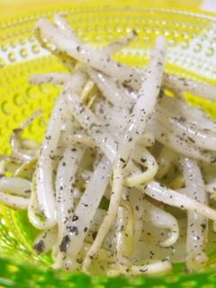 もやしで定食④♪もやしサラダ黒ゴマあえ♪-レシピのメイン写真