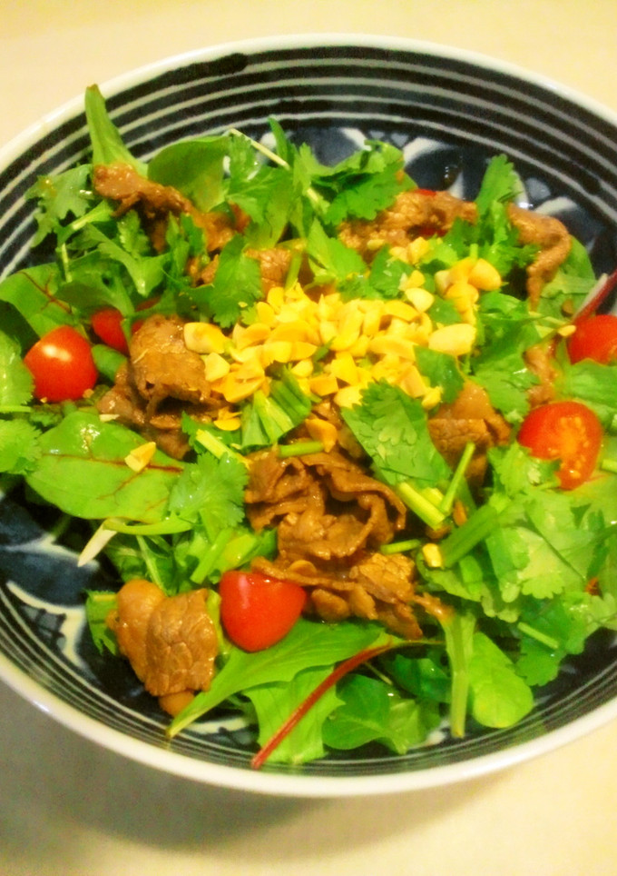 このはなの　タイ風焼き肉サラダ-レシピのメイン写真