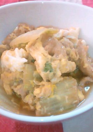 お母さんの味・白菜と豚肉の卵とじ-レシピのメイン写真