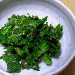 รูปของ わさび菜のナムル