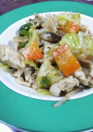 野菜たっぷり♪野菜炒め-レシピのメイン写真