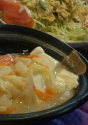 米粉でやさしいとろみ☆塩麹あんかけ豆腐-レシピのメイン写真
