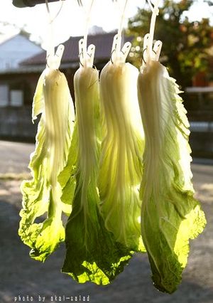 洗濯バサミで干し白菜-レシピのメイン写真