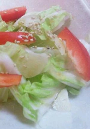 和イタリアな白菜サラダ-レシピのメイン写真