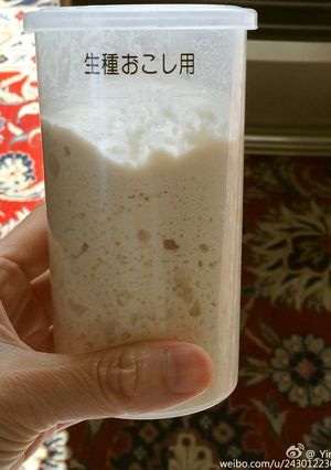 天然酵母の手作り方-レシピのメイン写真