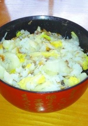 余り飯絶品塩鯖＆白菜ズボラ飯ランチ-レシピのメイン写真