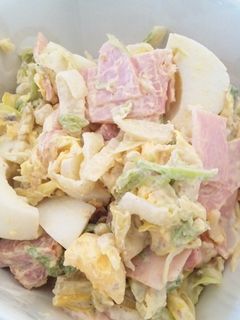 白菜の消費にも!白菜のマヨサラダ-レシピのメイン写真
