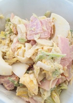 白菜の消費にも！白菜のマヨサラダ-レシピのメイン写真