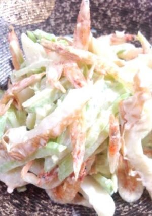 ビタミン大根と桜海老のわさびサラダ-レシピのメイン写真