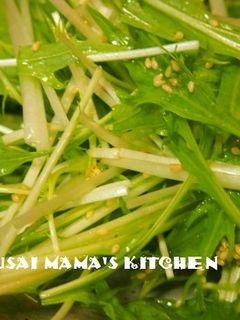 1分でできる水菜サラダ-レシピのメイン写真
