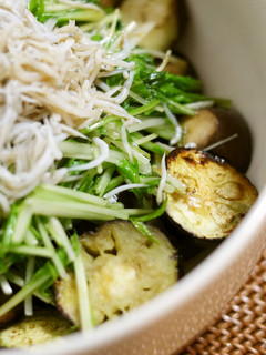 なすと水菜しらすの コクうまポン酢かけ-レシピのメイン写真