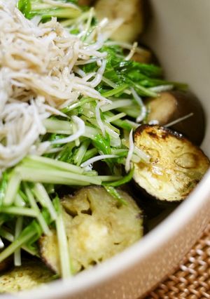 なすと水菜しらすの　コクうまポン酢かけ-レシピのメイン写真