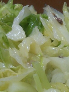 イタリア風蒸しキャベツ-レシピのメイン写真