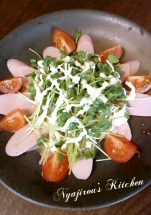 カイワレ＊魚肉ソーセージで簡単サラダ-レシピのメイン写真
